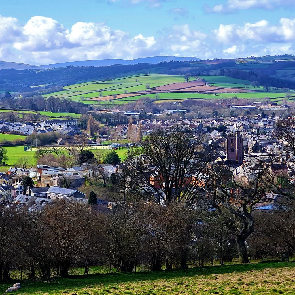 Slwch tump down over town centre